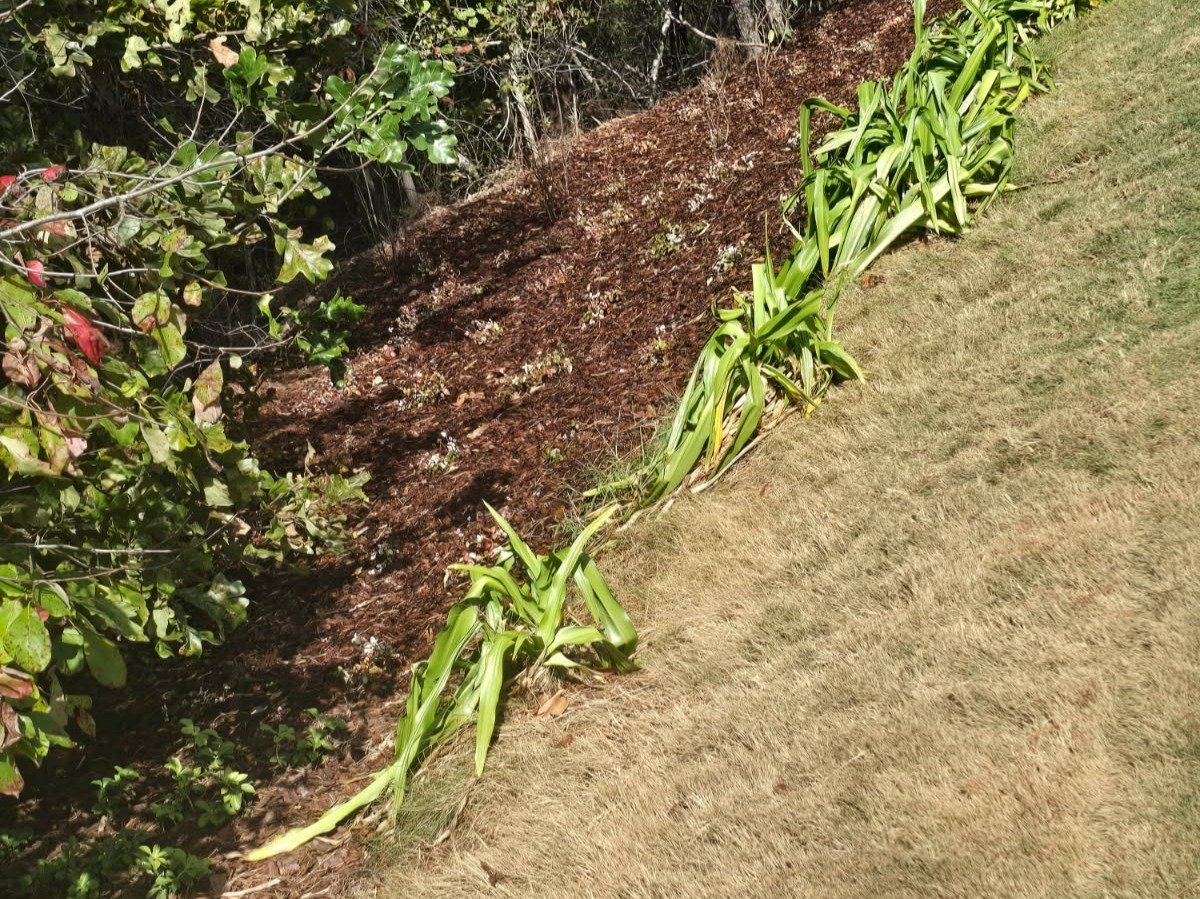 Romero Landscaping